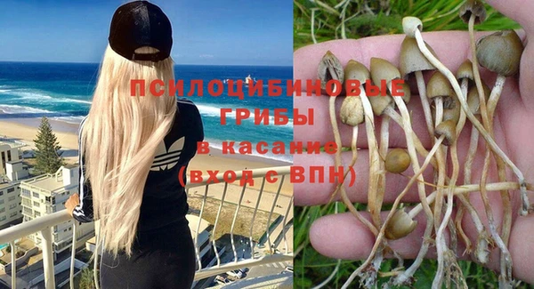кокс Алексеевка
