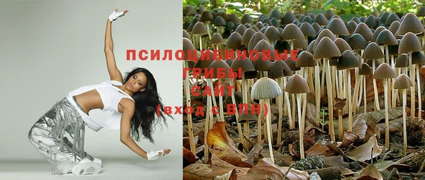 мяу мяу кристалл Алексин