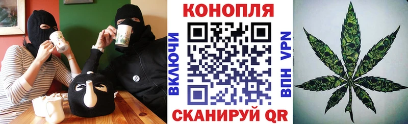 Купить где  Ижевск  Бошки марихуана ГИДРОПОН 